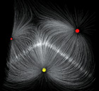 Field generated by the interaction of several electric monopoles.